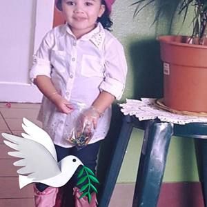 Meet your Posher, Armando